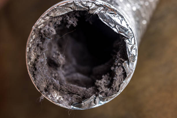 Best HVAC System Cleaning  in Mbria, CA